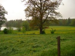2013-05-19_Iffeldorf_Aiderbichl (25).JPG